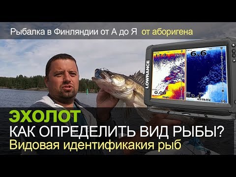 Видео: Как определить вид рыбы на эхолоте? Видовая идентификация рыб. На примере -эхолота Lowrance. Поиск.