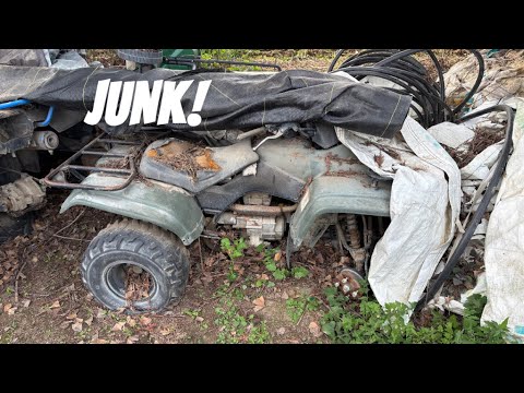 Видео: Квадроцикл HONDA стоимостью 50 долларов оставили гнить на 20 лет.. ОН ЗАВЕДЕТ?