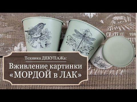 Видео: Техника ДЕКУПАЖА: ВЖИВЛЕНИЕ картинки-распечатки "МОРДОЙ в ЛАК"