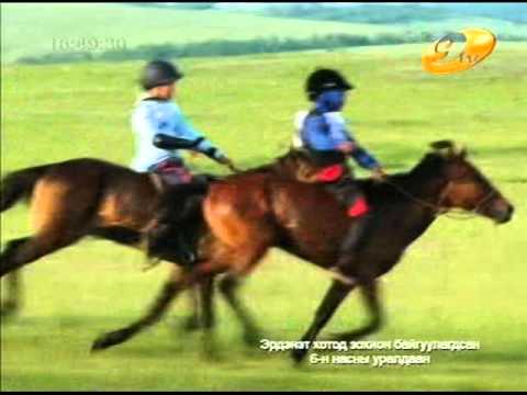 Видео: Хангайн бүс худалдааны төвийн нэрэмжит уралдаан 2013 он. ДААГА  -9