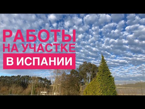 Видео: # 281 Участок В Испании. Работы 2022. Посадка Начата. Земля В Испании. Сельское Хозяйство Испания