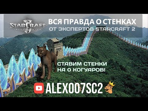 Видео: Все о стенках в StarCraft 2: Ставим стенки на 0 Когуаров!