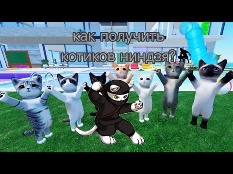 Видео: Как получить ВОЗМОЖНО одного любого вида кота ниндзя? • игра с котятами • roblox
