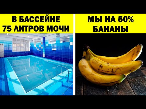 Видео: Факты, которые вы предпочтёте не знать