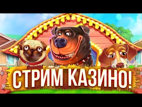 Видео: #shorts ПОДНИМАЕМ НА КАЗИКЕ! ВЕЧЕРНИЙ СТРИМ! #casinoonline #casinо