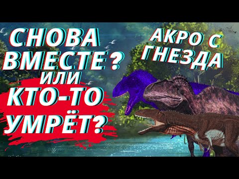 Видео: Beasts Of Bermuda АКРО  С ГНЕЗДА  4  СЕРИЯ СЕМЬЯ АКРО : СНОВА ВМЕСТЕ ИЛИ КТО-ТО УМРЁТ?