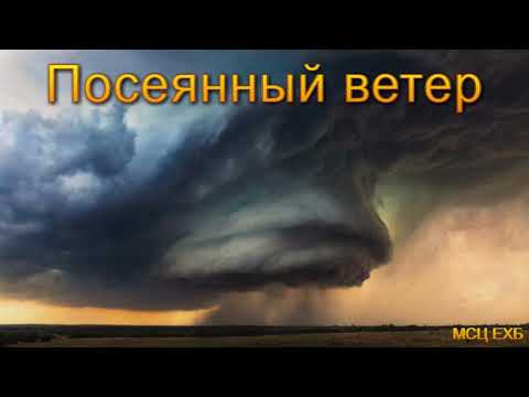 Видео: Посеянный ветер. А. Н. Оскаленко. МСЦ ЕХБ.