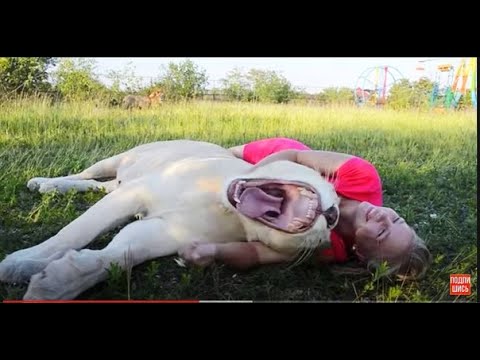 Видео: САМАЯ  НЕЖНАЯ белая львица, Герда, мы скучаем по тебе!
