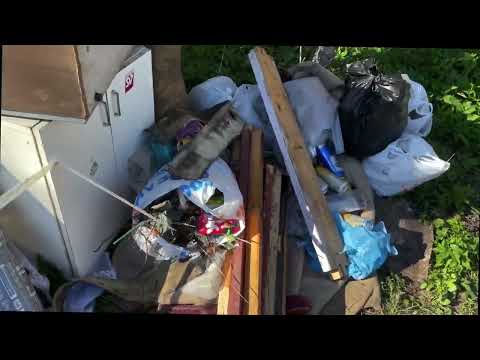 Видео: Дачные мусорки или деньги из мусора . Витёк мусорщик Беларусь