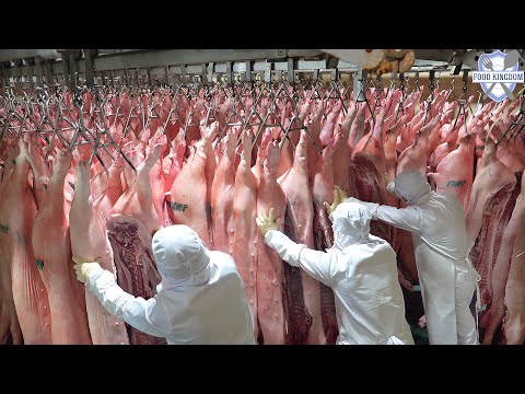 Видео: Удивительная корейская фабрика по переработке свинины