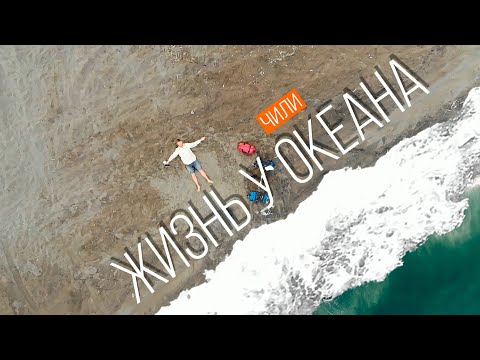 Видео: Ссылка в описании. Жизнь на берегу Тихого океана | Ловля осьминога | Путешествие по Чили | #42