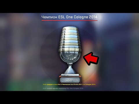 Видео: САМЫЕ НЕОБЫЧНЫЕ ТРОФЕИ ЧЕМПИОНОВ МАЖОРОВ ПО КС ГО! *КУБОК 2013 ГОДА* САМЫЕ РЕДКИЕ ПРЕДМЕТЫ В CS:GO
