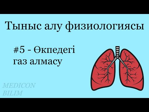 Видео: Өкпедегі газ алмасу | Газдар транспорты | Физиология | курсқа тіркелу👇