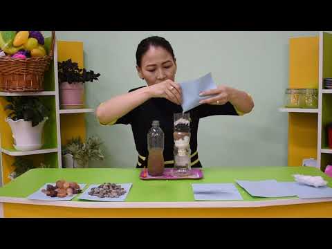 Видео: Туршилт \Байгаль нийгмийн орчин, нийгэмшихүй\