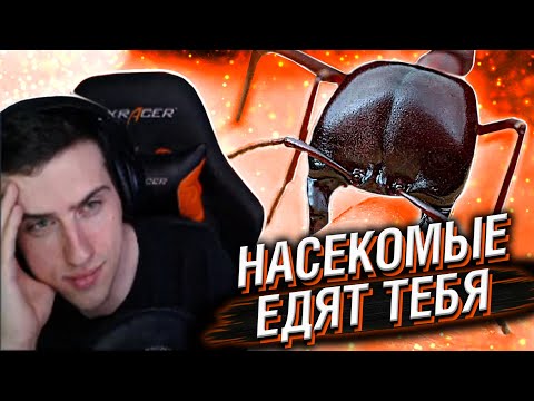 Видео: HELLYEAHPLAY СМОТРИТ: ВОТ ПОЧЕМУ НАСЕКОМЫЕ ЕДЯТ ТЕБЯ
