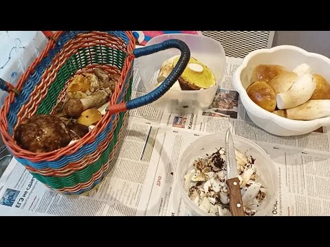 Видео: Два вкусных рецепта от Ирины/Салат "Лоцман"/Маринованные грибы на зиму