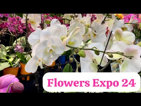 Видео: Flowers Expo 24, обзор выставки.