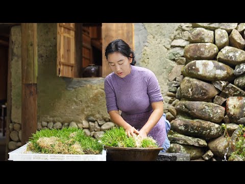 Видео: Мальтоза | Сварите кастрюлю солода, воссоздав самое простое и вкусное детство.