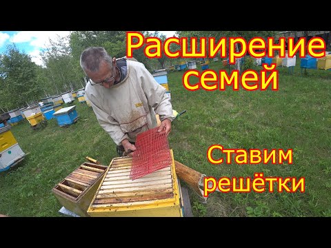 Видео: Расширение семей. Ставим вторые корпуса.Ставим решётки!