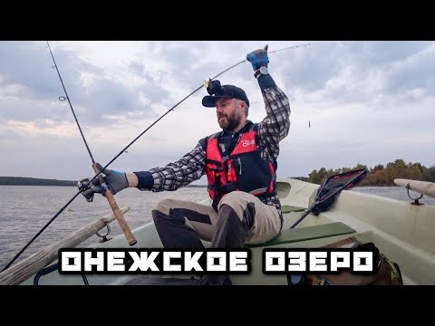 Видео: Утопил Спиннинг ! Онежское озеро Рыбалка в Карелии с лодки | Окунь Щука Плотва