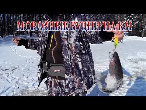 Видео: ФОРЕЛЬ ПРОДОЛЖАЕТ ЛОВИТЬСЯ В МОРОЗ