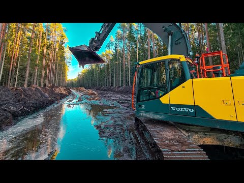 Видео: Впереди три большие лужи