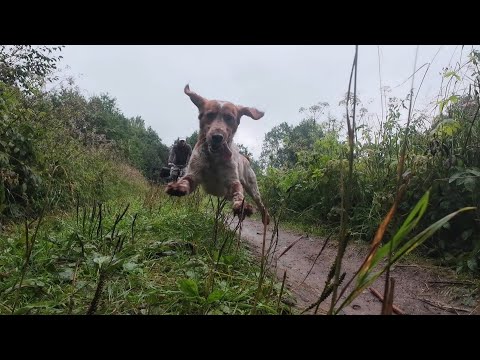 Видео: Сплав по харюсовой реке без хариуса. Рыбалка на спиннинг с лодки в Тверской области.