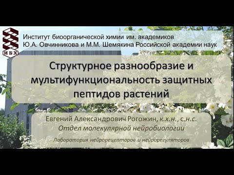 Видео: XV Молодёжный семинар: «Структурное разнообразие и мультифункциональность защитных пептидов растений
