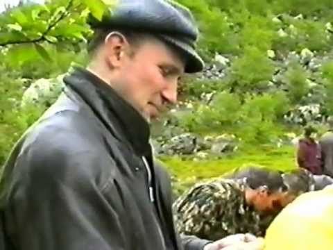 Видео: День  рпк сн к-182