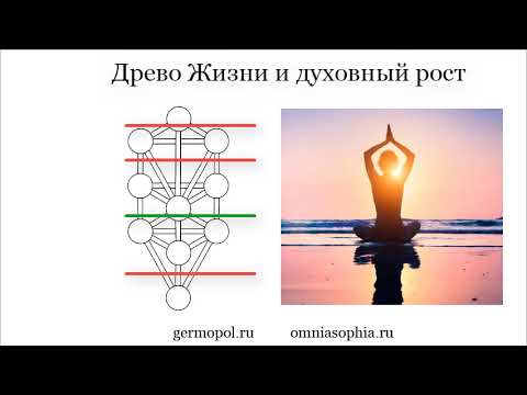 Видео: Древо Жизни и духовный рост