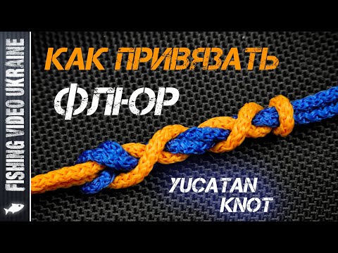 Видео: КАК СОЕДИНИТЬ ФЛЮОРОКАРБОН СО ШНУРОМ? САМЫЙ ПРОСТОЙ СПОСОБ | УЗЕЛ ЮКАТАН | @FVU #fishingknots #флюр