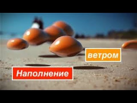 Видео: Виндсерфинг для начинающих. Как наполнить парус ветром. Начало движения - Surf College
