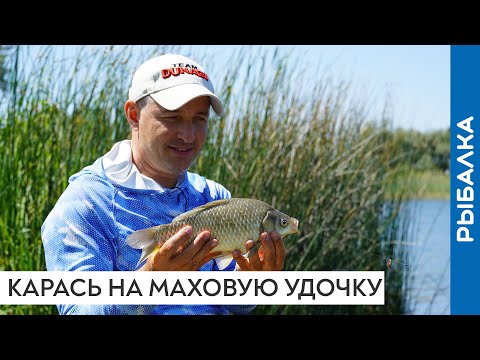 Видео: Карась на удочку. Ловля на мах