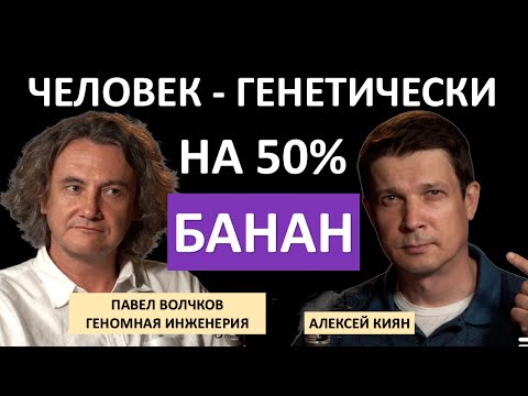 Видео: КАК копируется ДНК / Что ВИРУСЫ делают с генами / Как РАСШИФРОВЫВАЮТ и редактируют ГЕНОМ?