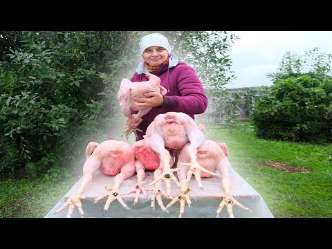 Видео: НОВЫЙ ПОМОЩНИК В ДОМЕ. ДОМАШНИЙ БРОЙЛЕР, СРЕДНИЙ ВЕС.  ЗАПАСЫ НА ЗИМУ. ИЗ ГОРОДА В ДЕРЕВНЮ 525 серия