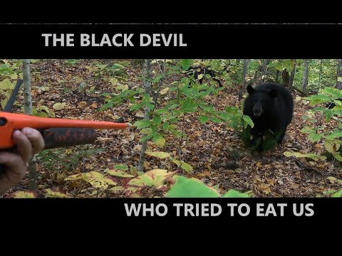 Видео: Черный Дьявол