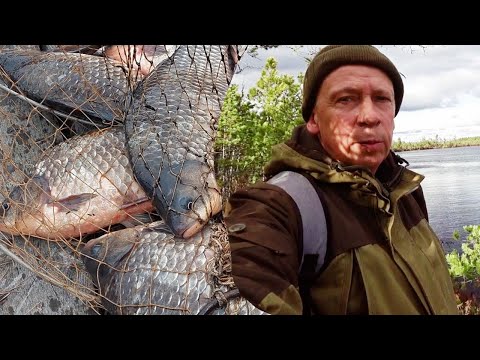 Видео: Люди на болотах часть 2 .  Опасные прогулки.