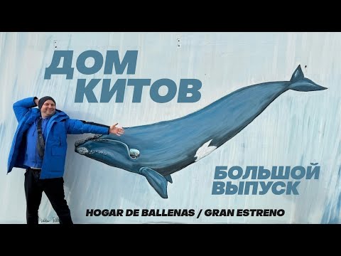Видео: Дом китов: большой выпуск (4K) / Hogar de Ballenas: gran estreno (4K)