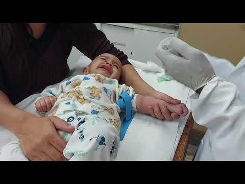 Видео: Levy. Blood collection. Coleta de sangue. جمع الدم . Сбор крови. جمع آوری خون