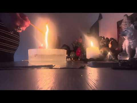 Видео: Чистим всевъзможни крадници и нагли души