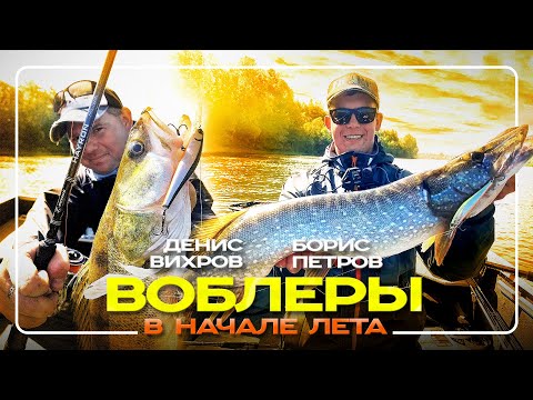 Видео: Шикарная рыбалка на воблеры в июне! Судак, щука, жерех, окунь!