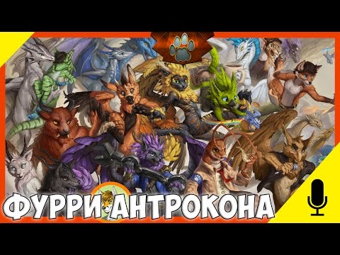 Видео: ФУРРИ АНТРОКОНА (ИНТЕРВЬЮ) | FURRY OF ANTHROCON NBC INTERVIEW