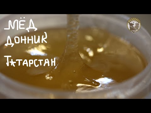 Видео: Донниковый Мёд монофлорный Татарстан