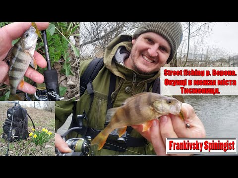 Видео: Street fishing р. Ворона. Окунці в межах міста Тисмениця.