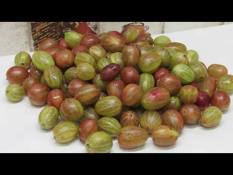Видео: Холодное варенье из Крыжовника. БЕЗ ВАРКИ! На зиму просто идеально