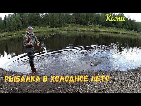Видео: Рыбалка на Севере. Щука , Хариус. Июнь 2023г.