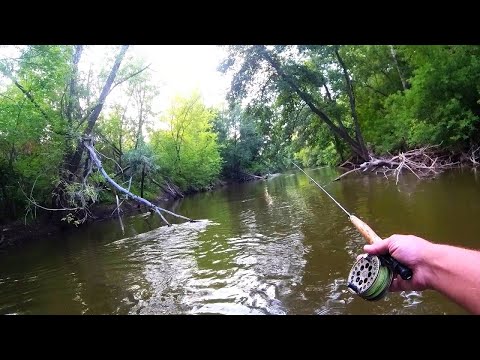 Видео: Ловля голавля. Спиннинг VS Нахлыст.