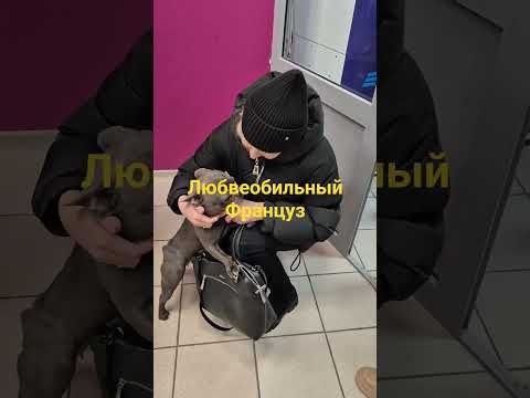 Видео: француз на крайнем севере