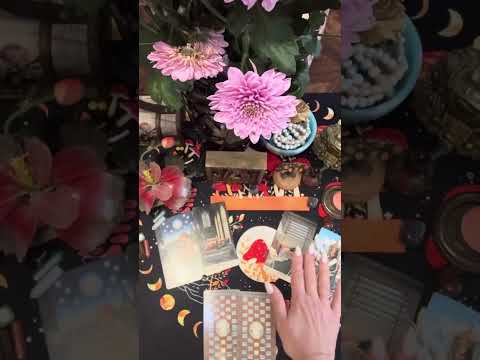 Видео: ❤️Что сейчас между Вами ??❤️❤️