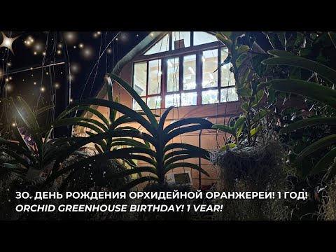 Видео: 3О. День рождения орхидейной оранжереи! 1 год! Orchid greenhouse birthday! 1 year!